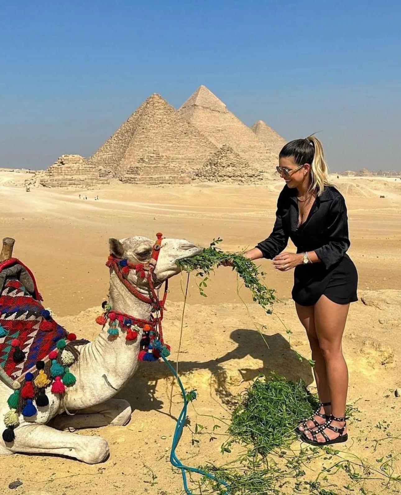 The Boulevard Sphinx Tower Kafret el-Gabal Extérieur photo